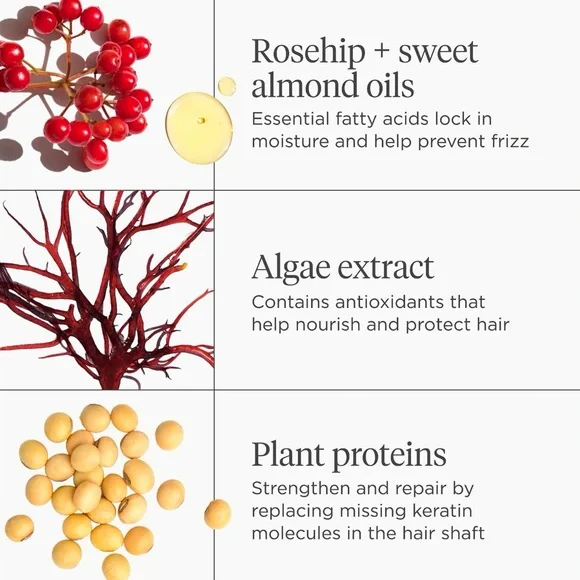 Briogeo Don't Despair, Repair Deep Conditioning Mask & Scalp Revival Shampoo Set - Picture 7 of 16